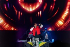 BrindaDhawan-ECHO-SeanPaul-LeaderBankPavilion-12