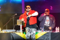 BrindaDhawan-ECHO-SeanPaul-LeaderBankPavilion-8