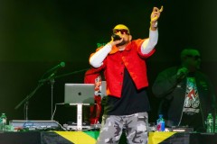 BrindaDhawan-ECHO-SeanPaul-LeaderBankPavilion-9