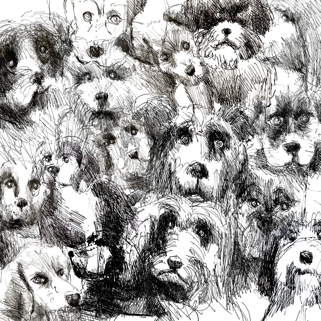 Cover art for "16 Dogs"